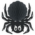 Black Tissue Spider